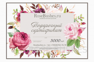 ���������� ���������� �� 3000�